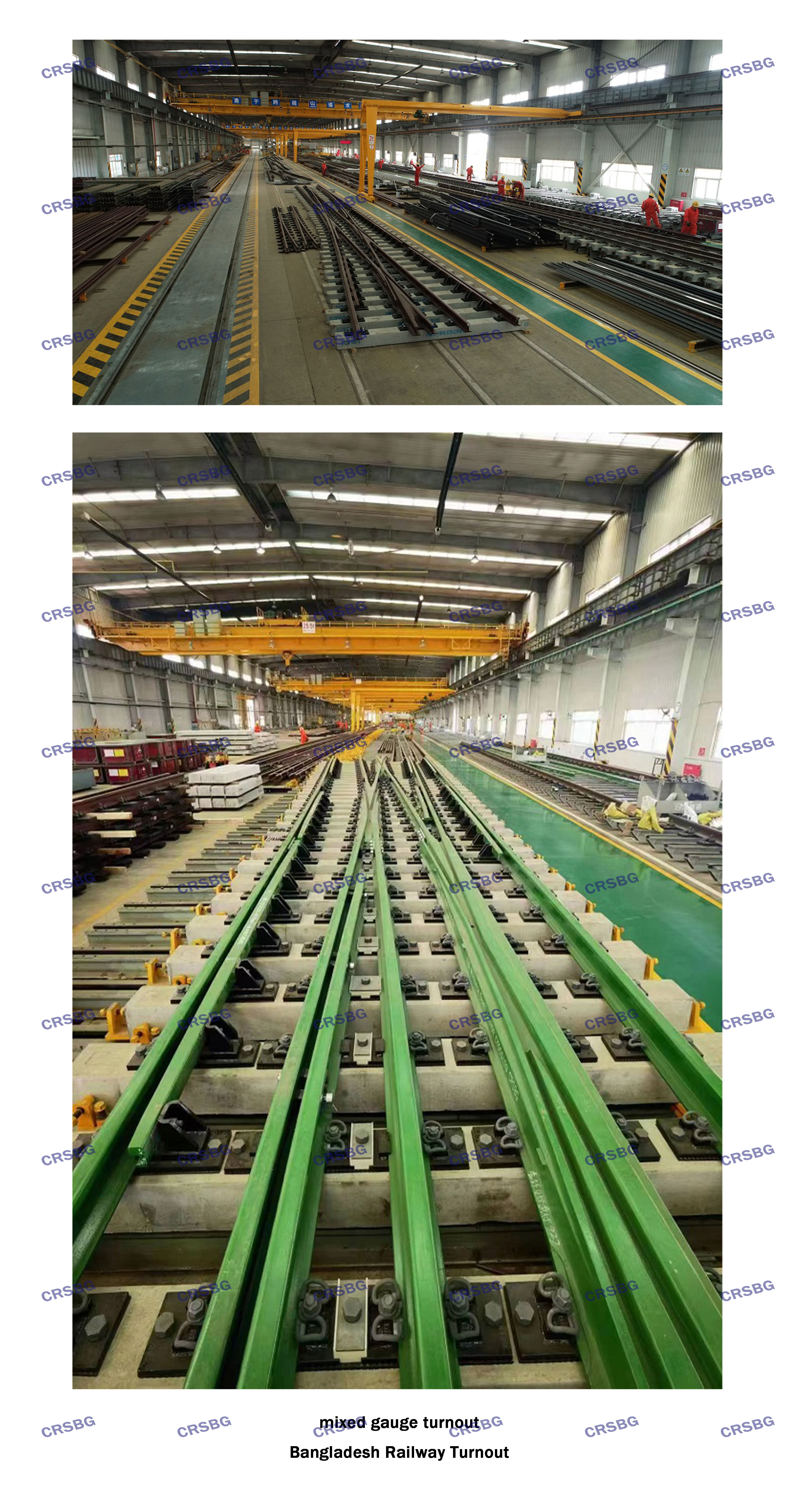 MIXED GAUGE TURNOUT（CRSBG水?。?jpg